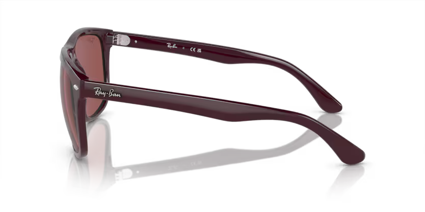 Ray-Ban 0RB4147