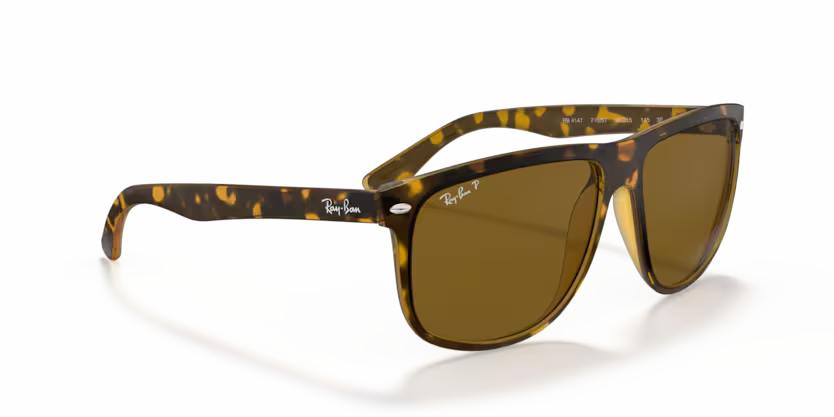 Ray-Ban 0RB4147