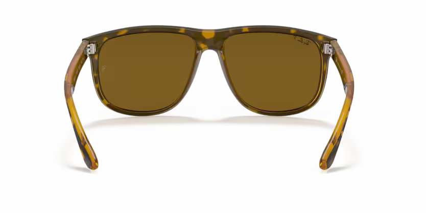 Ray-Ban 0RB4147