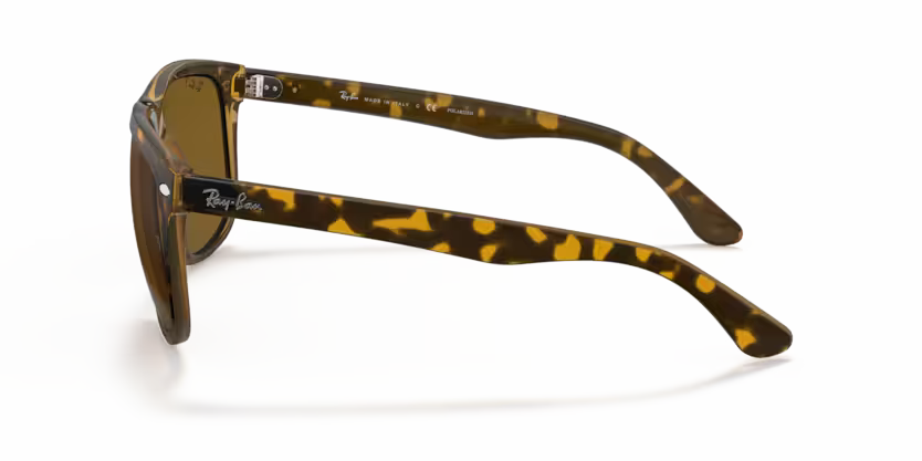 Ray-Ban 0RB4147