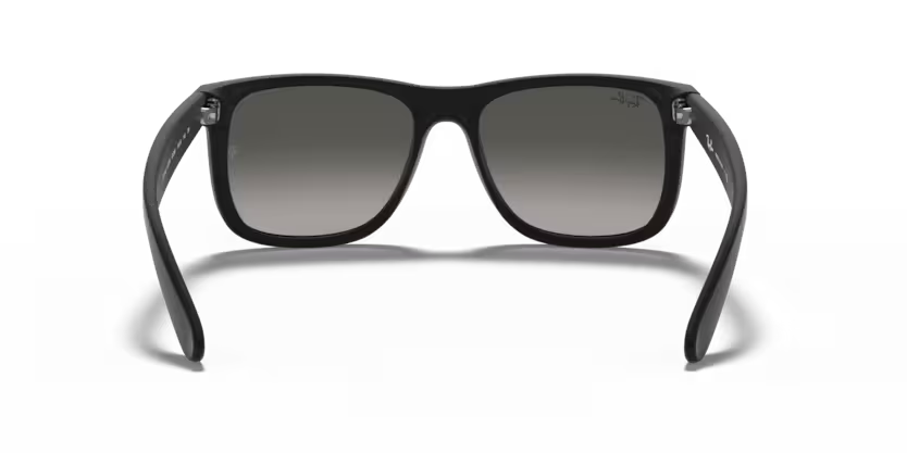 Ray-Ban 0RB4165