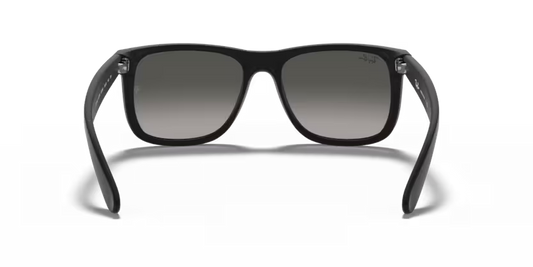 Ray-Ban 0RB4165