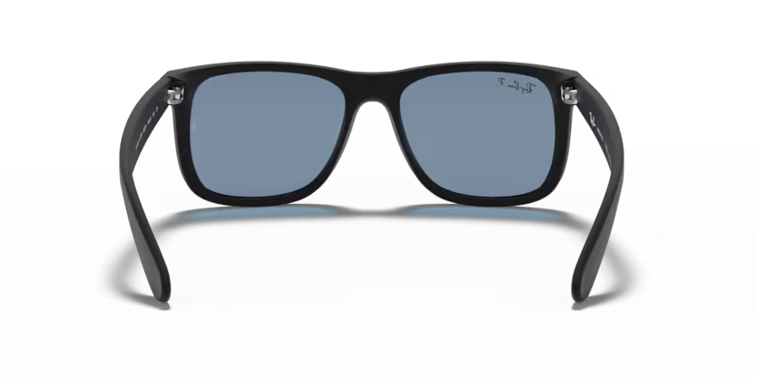 Ray-Ban 0RB4165