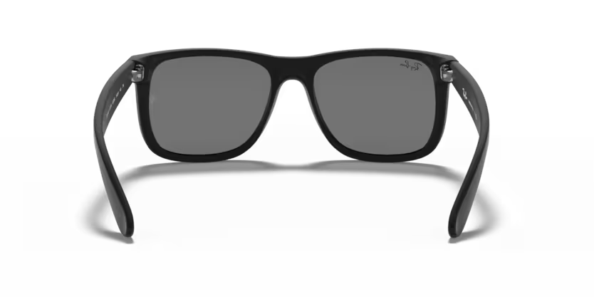 Ray-Ban 0RB4165
