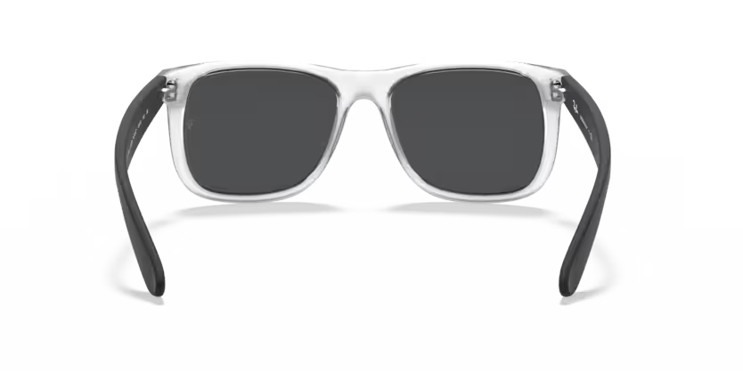 Ray-Ban 0RB4165