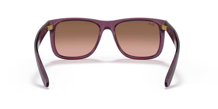 Ray-Ban 0RB4165