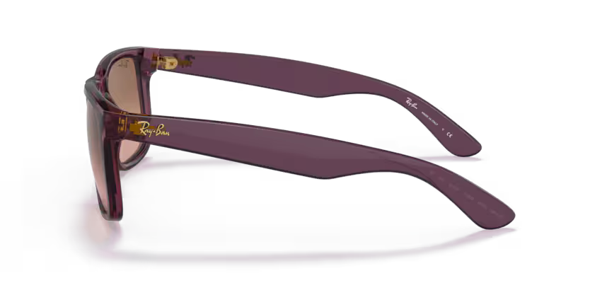 Ray-Ban 0RB4165