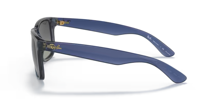Ray-Ban 0RB4165