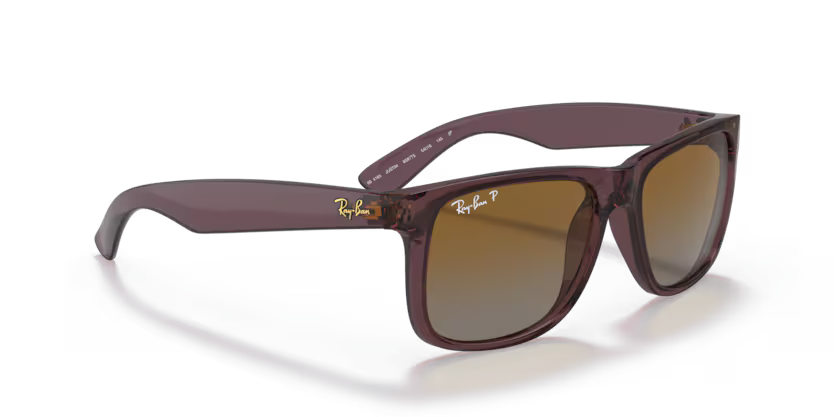 Ray-Ban 0RB4165