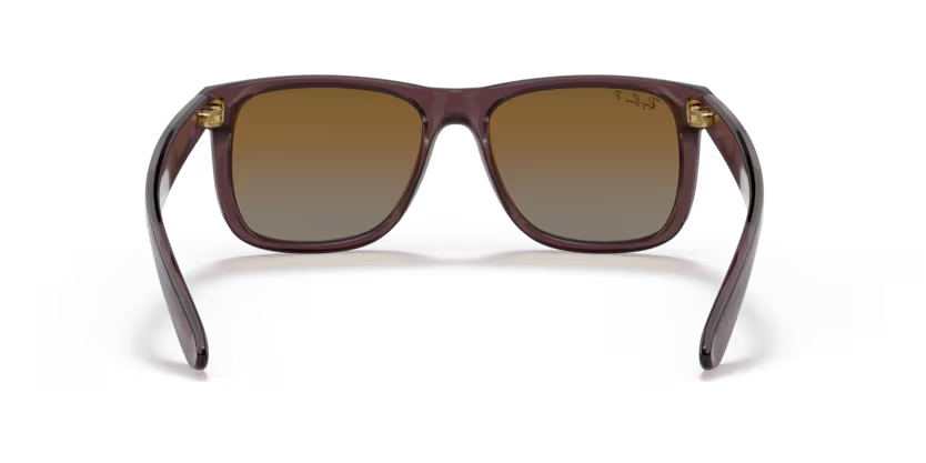 Ray-Ban 0RB4165