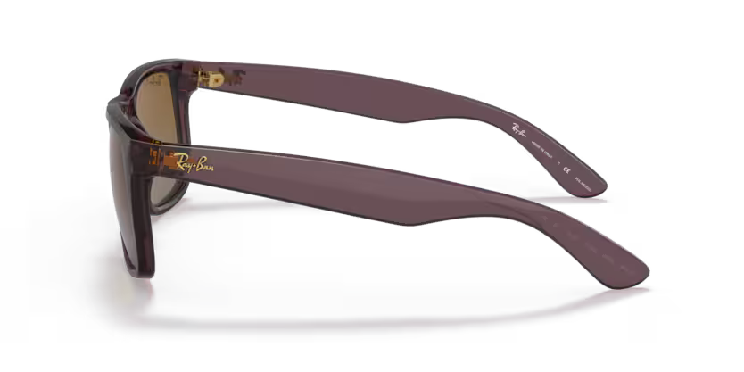 Ray-Ban 0RB4165