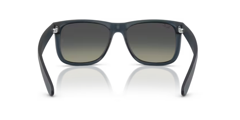 Ray-Ban 0RB4165