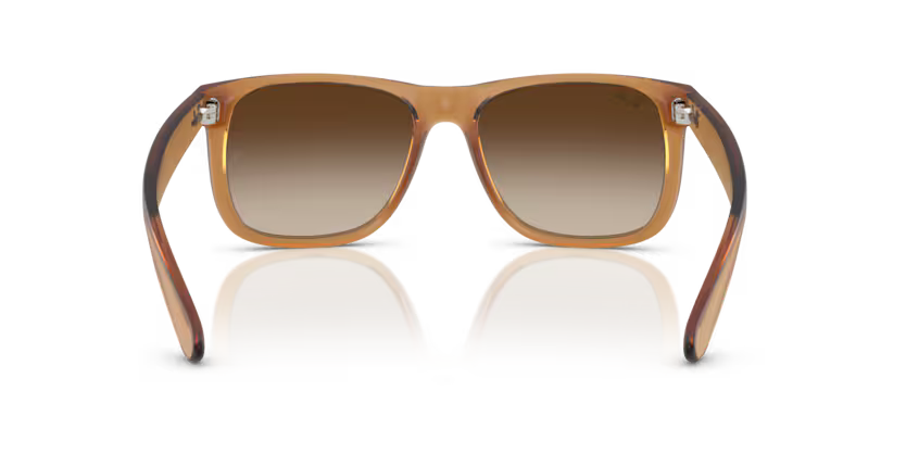 Ray-Ban 0RB4165