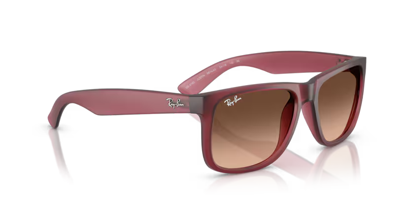 Ray-Ban 0RB4165