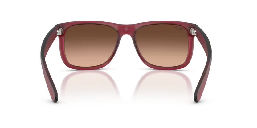 Ray-Ban 0RB4165