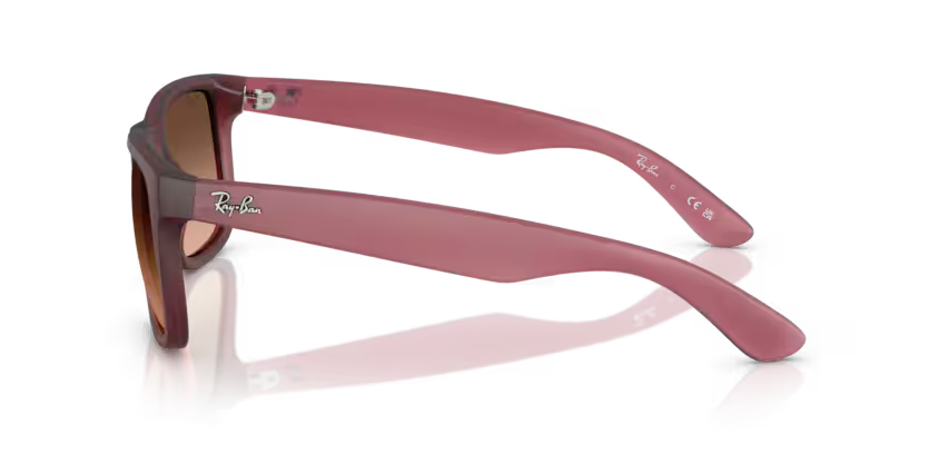 Ray-Ban 0RB4165