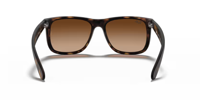 Ray-Ban 0RB4165