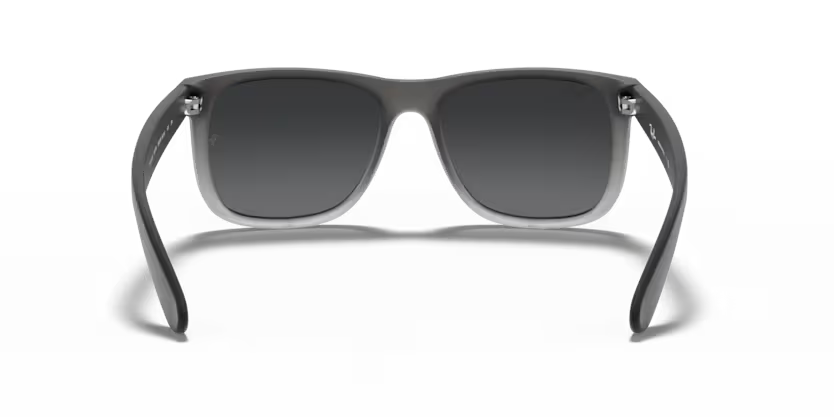 Ray-Ban 0RB4165