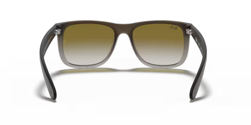 Ray-Ban 0RB4165
