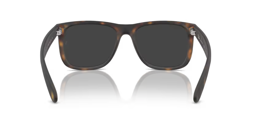 Ray-Ban 0RB4165