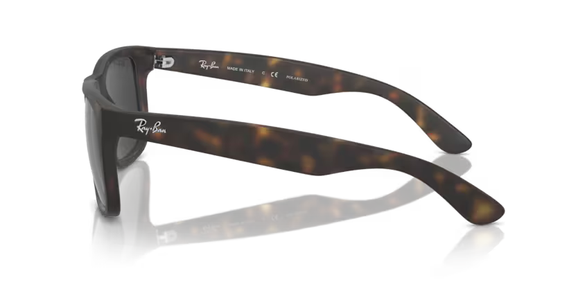 Ray-Ban 0RB4165