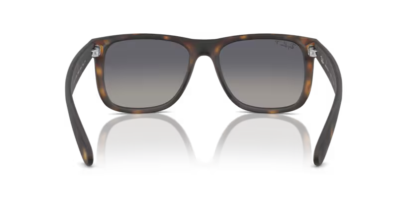 Ray-Ban 0RB4165