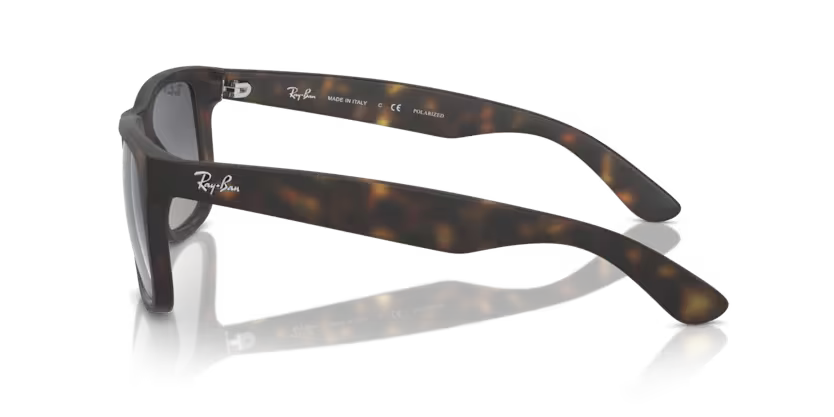 Ray-Ban 0RB4165