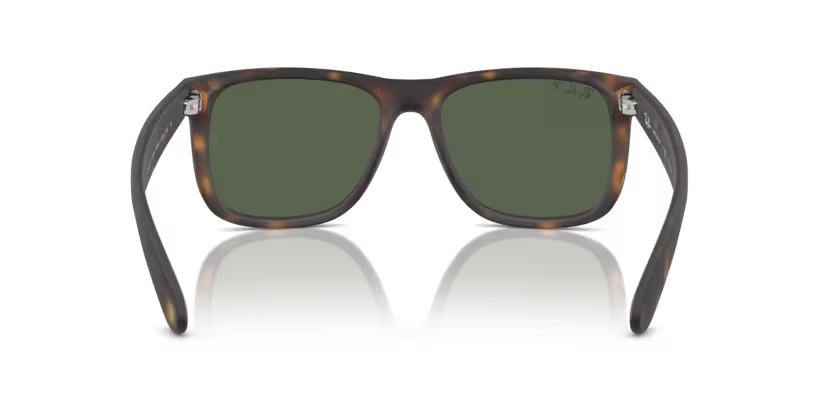 Ray-Ban 0RB4165