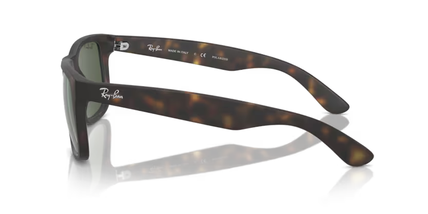 Ray-Ban 0RB4165