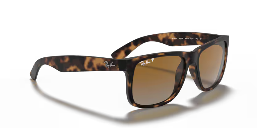 Ray-Ban 0RB4165