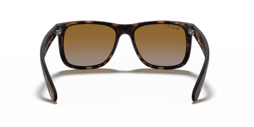 Ray-Ban 0RB4165