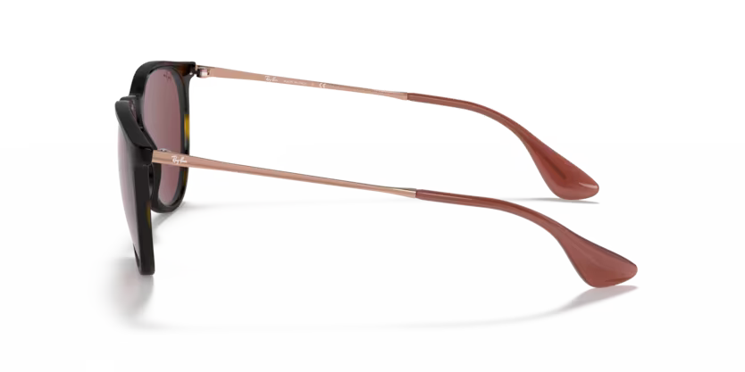 Ray-Ban 0RB4171