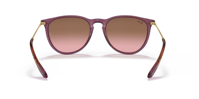 Ray-Ban 0RB4171
