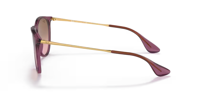 Ray-Ban 0RB4171