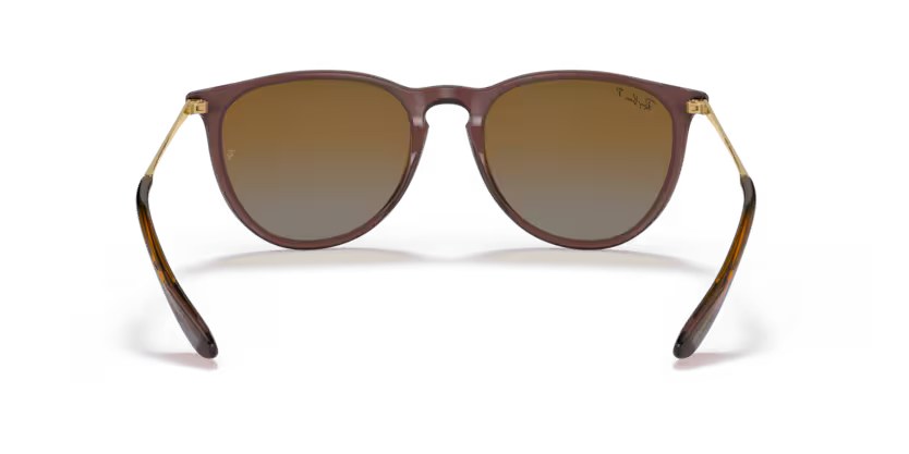 Ray-Ban 0RB4171
