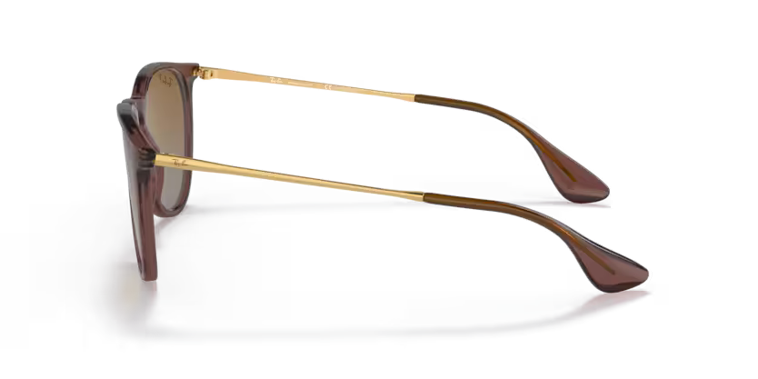 Ray-Ban 0RB4171