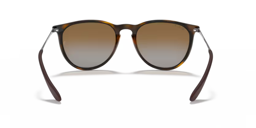 Ray-Ban 0RB4171