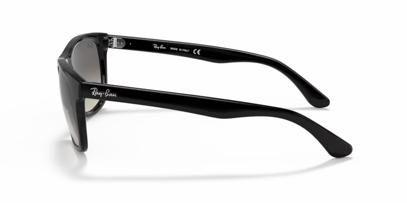 Ray-Ban 0RB4181
