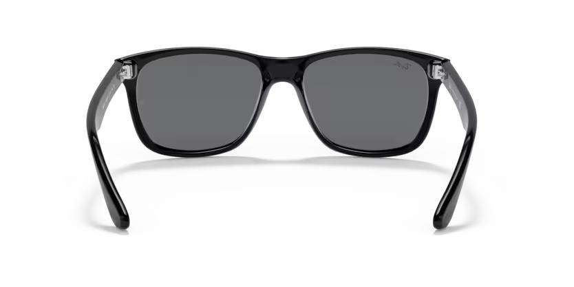 Ray-Ban 0RB4181