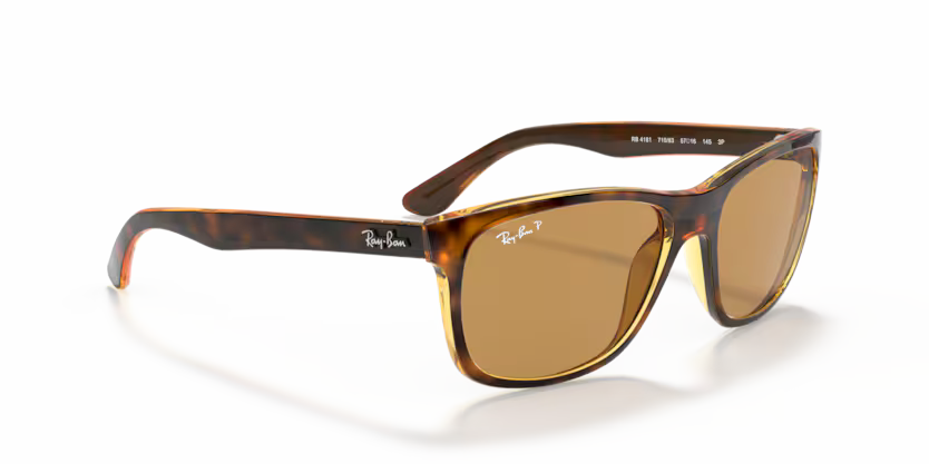 Ray-Ban 0RB4181