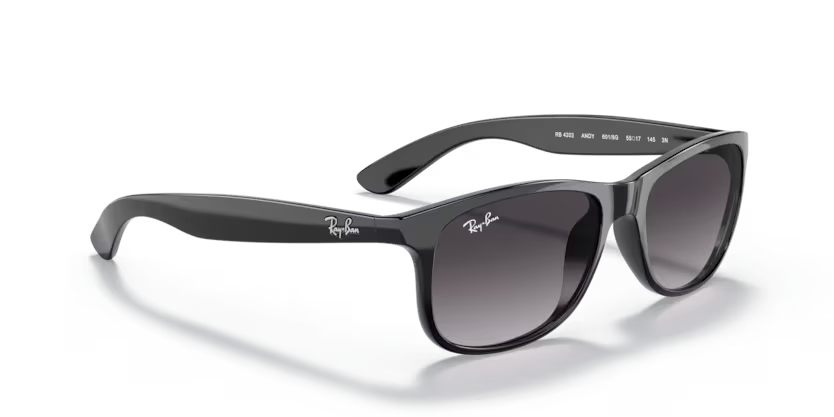 Ray-Ban 0RB4202