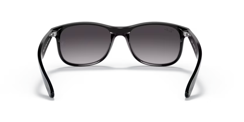Ray-Ban 0RB4202