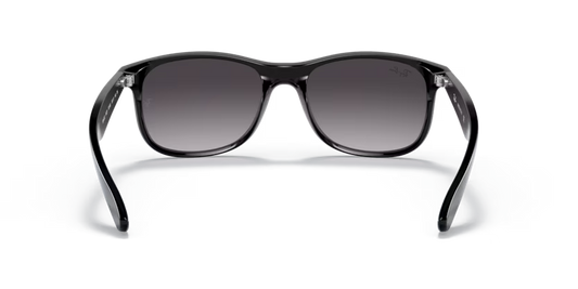 Ray-Ban 0RB4202