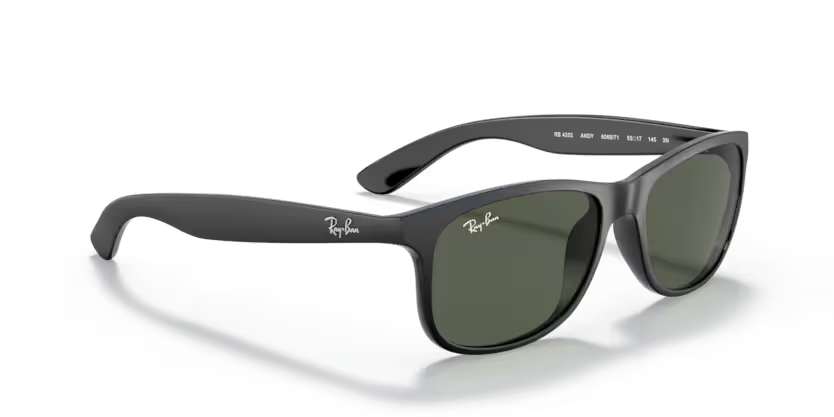 Ray-Ban 0RB4202
