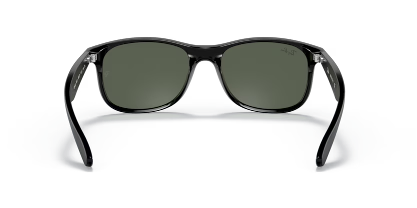 Ray-Ban 0RB4202