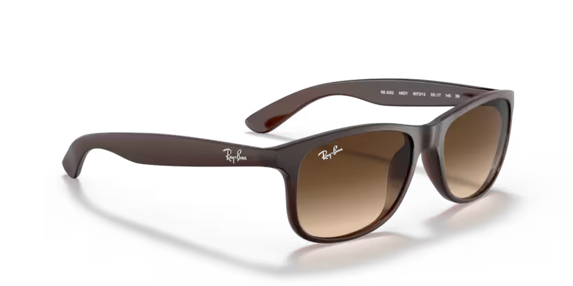 Ray-Ban 0RB4202