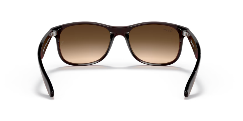 Ray-Ban 0RB4202