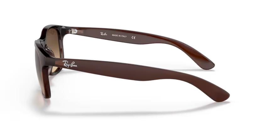 Ray-Ban 0RB4202