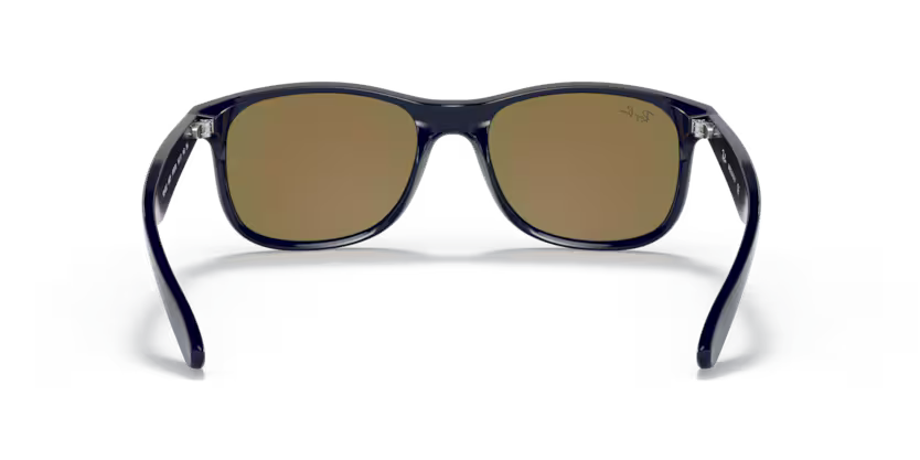 Ray-Ban 0RB4202