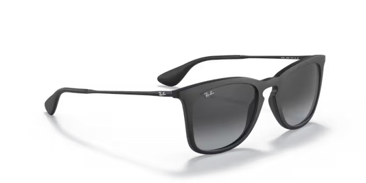 Ray-Ban 0RB4221
